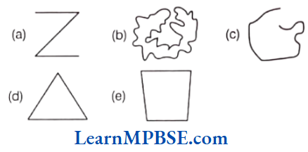Class-6-Maths-Chapter-4-Basic-Geometrical-Ideas-Question-1.5