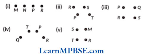 Class-6-Maths-Chapter-4-Basic-Geometrical-Ideas-Question-1