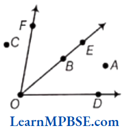 Class-6-Maths-Chapter-4-Basic-Geometrical-Ideas-Question-2.3