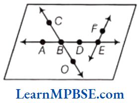 Class-6-Maths-Chapter-4-Basic-Geometrical-Ideas-Question-3.1