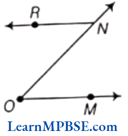 Class-6-Maths-Chapter-4-Basic-Geometrical-Ideas-Question-3.4