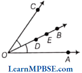 Class-6-Maths-Chapter-4-Basic-Geometrical-Ideas-Question-3.5