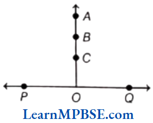 Class-6-Maths-Chapter-4-Basic-Geometrical-Ideas-Question-3.6