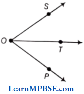 Class-6-Maths-Chapter-4-Basic-Geometrical-Ideas-Question-3.8