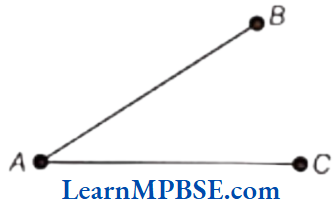 Class-6-Maths-Chapter-4-Basic-Geometrical-Ideas-Question-3