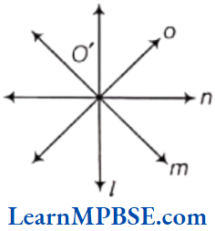 Class-6-Maths-Chapter-4-Basic-Geometrical-Ideas-Question-4.2