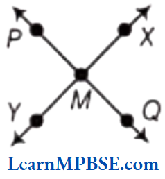 Class-6-Maths-Chapter-4-Basic-Geometrical-Ideas-Question-5.2