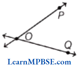 Class-6-Maths-Chapter-4-Basic-Geometrical-Ideas-Question-5.4