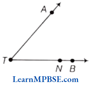 Class-6-Maths-Chapter-4-Basic-Geometrical-Ideas-Question-5