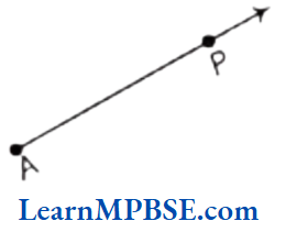Class-6-Maths-Chapter-4-Basic-Geometrical-Ideas-Ray