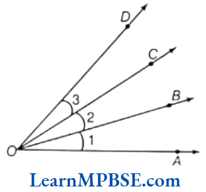 Class-6-Maths-Chapter-4-Basic-Geometrical-Ideas-Short-Answer-Question-10