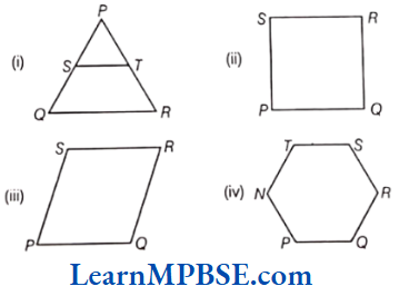 Class-6-Maths-Chapter-4-Basic-Geometrical-Ideas-Short-Answer-Question-2