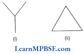 Class-6-Maths-Chapter-4-Basic-Geometrical-Ideas-Short-Answer-Question-4