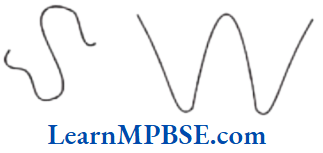 Class-6-Maths-Chapter-4-Basic-Geometrical-Ideas-Simple-Curve
