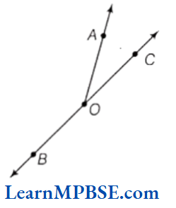 Class-6-Maths-Chapter-4-Basic-Geometrical-Ideas-Very-Short-Answer-Question-1