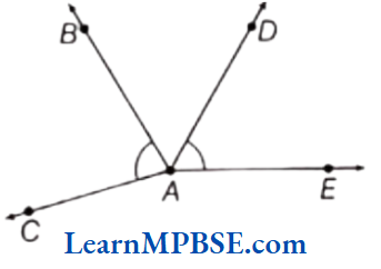 Class-6-Maths-Chapter-4-Basic-Geometrical-Ideas-Very-Short-Answer-Question-11