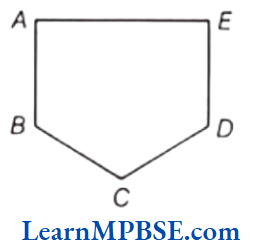Class-6-Maths-Chapter-4-Basic-Geometrical-Ideas-Very-Short-Answer-Question-3