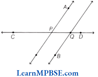Class-6-Maths-Chapter-4-Basic-Geometrical-Ideas-Very-Short-Answer-Question-4