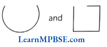 Class-6-Maths-Chapter-4-Basic-Geometrical-Ideas-Very-Short-Answer-Question-5