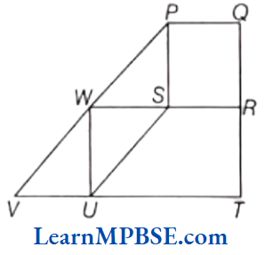 Class-6-Maths-Chapter-5-Understanding-Elementary-Shapes-Case-Based-Question-2