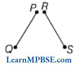 Class-6-Maths-Chapter-5-Understanding-Elementary-Shapes-Exercise-5.1-Question-1