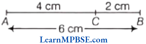 Class-6-Maths-Chapter-5-Understanding-Elementary-Shapes-Exercise-5.1-Question-3