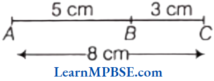 Class-6-Maths-Chapter-5-Understanding-Elementary-Shapes-Exercise-5.1-Question-4