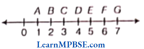 Class-6-Maths-Chapter-5-Understanding-Elementary-Shapes-Exercise-5.1-Question-5