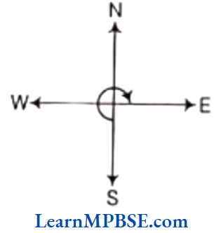 Class-6-Maths-Chapter-5-Understanding-Elementary-Shapes-Exercise-5.2-Question-4.2