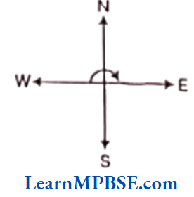 Class-6-Maths-Chapter-5-Understanding-Elementary-Shapes-Exercise-5.2-Question-4.3