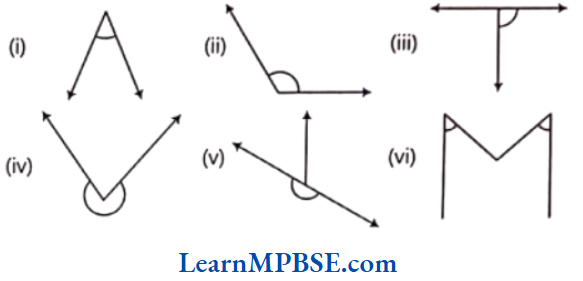 Class-6-Maths-Chapter-5-Understanding-Elementary-Shapes-Exercise-5.3-Question-2