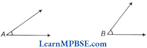 Class-6-Maths-Chapter-5-Understanding-Elementary-Shapes-Exercise-5.3-Question-5