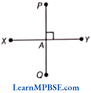 Class-6-Maths-Chapter-5-Understanding-Elementary-Shapes-Exercise-5.5-Question-2