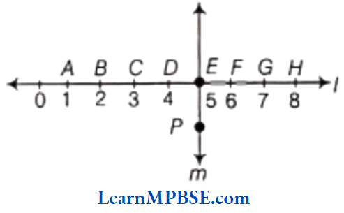 Class-6-Maths-Chapter-5-Understanding-Elementary-Shapes-Exercise-5.5-Question-4