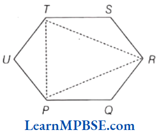 Class-6-Maths-Chapter-5-Understanding-Elementary-Shapes-Exercise-5.8-Question-3
