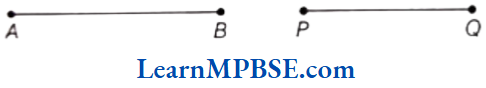 Class-6-Maths-Chapter-5-Understanding-Elementary-Shapes-Line-Segment