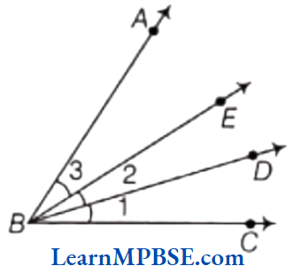 Class-6-Maths-Chapter-5-Understanding-Elementary-Shapes-Long-Answer-Type-Question-4
