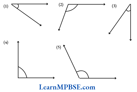 Class-6-Maths-Chapter-5-Understanding-Elementary-Shapes-Measuring-Angles-Example-1