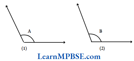 Class-6-Maths-Chapter-5-Understanding-Elementary-Shapes-Measuring-Angles-Example-4