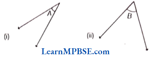 Class-6-Maths-Chapter-5-Understanding-Elementary-Shapes-Measuring-Angles-Example-5