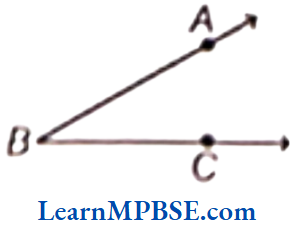 Class-6-Maths-Chapter-5-Understanding-Elementary-Shapes-Measuring-an-Angle