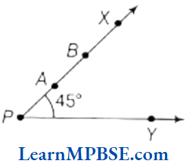 Class-6-Maths-Chapter-5-Understanding-Elementary-Shapes-Multiple-Choice-Question-3