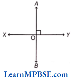Class-6-Maths-Chapter-5-Understanding-Elementary-Shapes-Perpendicular-Lines-Example-2