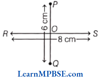 Class-6-Maths-Chapter-5-Understanding-Elementary-Shapes-Perpendicular-Lines-Example-6
