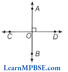Class-6-Maths-Chapter-5-Understanding-Elementary-Shapes-Perpendicular-Lines