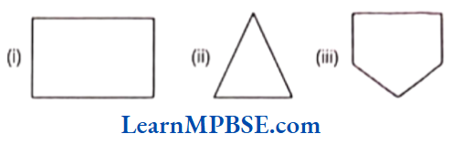 Class-6-Maths-Chapter-5-Understanding-Elementary-Shapes-Polygons-Example-2