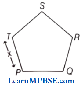 Class-6-Maths-Chapter-5-Understanding-Elementary-Shapes-Polygons-Example-8