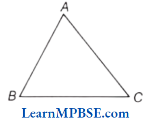 Class-6-Maths-Chapter-5-Understanding-Elementary-Shapes-Scalene-Triangle