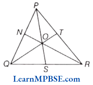 Class-6-Maths-Chapter-5-Understanding-Elementary-Shapes-Short-Answer-Type-Question-11