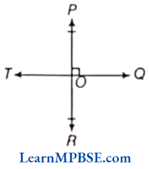 Class-6-Maths-Chapter-5-Understanding-Elementary-Shapes-Short-Answer-Type-Question-14